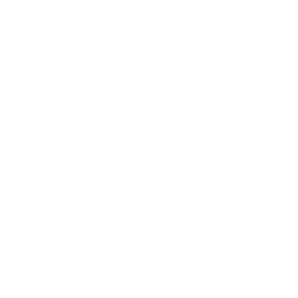 LEO Group logo