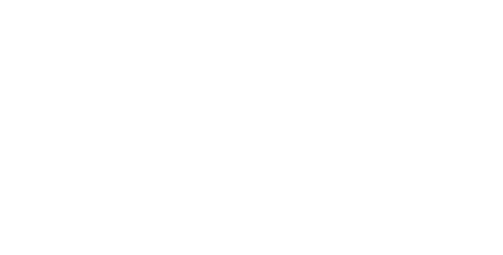 LSD Dev logo